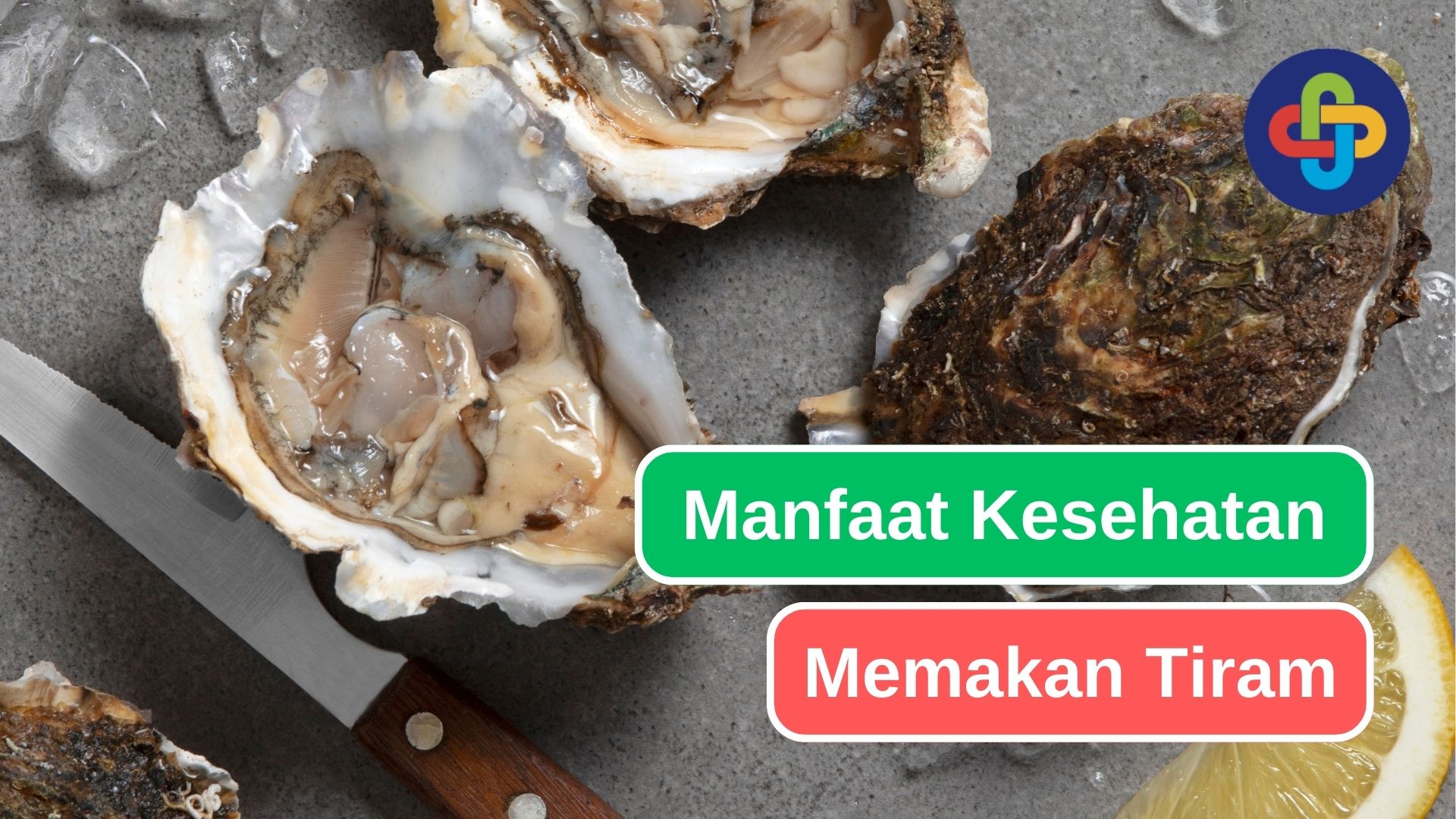 Makan Tiram Bisa Memberi 10 Manfaat Kesehatan Ini